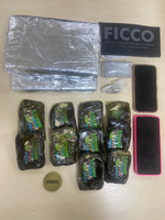 PF prende mulher em flagrante por tráfico interestadual de drogas no Espírito Santo