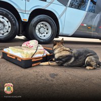 PF prende passageira por tráfico interestadual de drogas