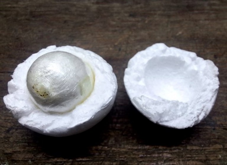 WhatsApp Image 2025-06-11 at 11.47.33 (1).jpeg