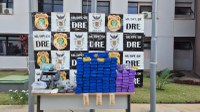 PF realiza a apreensão de drogas e armas no Distrito Federal