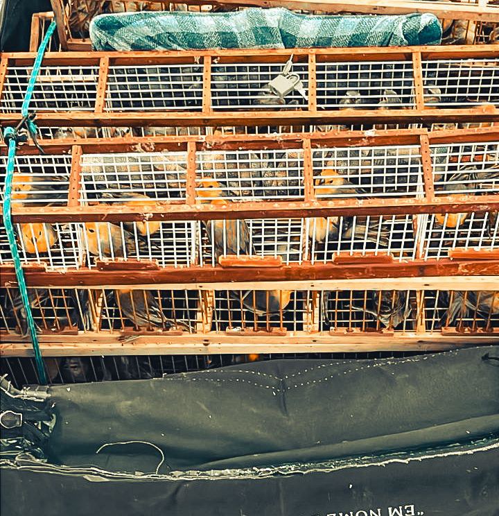 WhatsApp Image 2025-06-23 at 19.45.00.jpeg