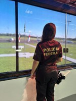 Polícia Federal inicia a Operação Parintins 2025
