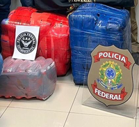 PR apreende 120 kg de maconha no Mato Grosso do Sul