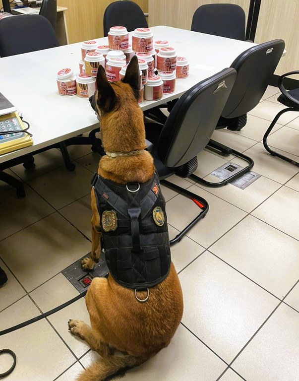 WhatsApp Image 2025-07-02 at 09.48.40 (1).jpeg