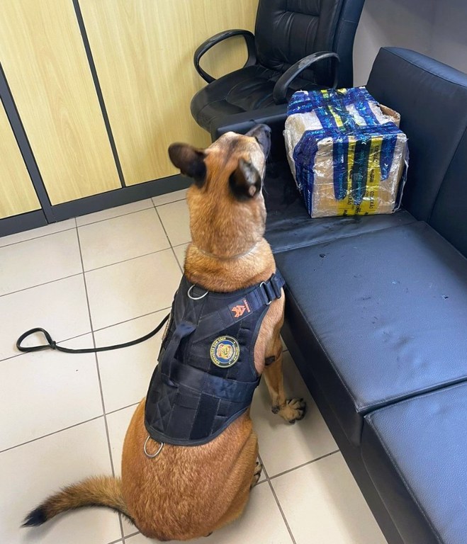 WhatsApp Image 2025-07-02 at 09.48.40 (2).jpeg