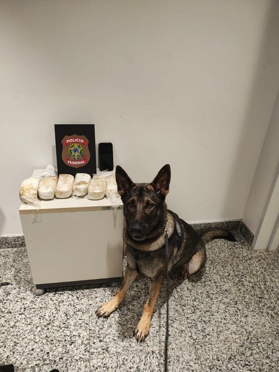 WhatsApp Image 2025-07-02 at 21.27.13 (1).jpeg