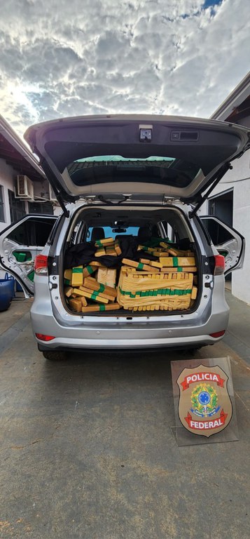 70e04628-c96e-441c-aa50-02db7bc59ac7.jfif