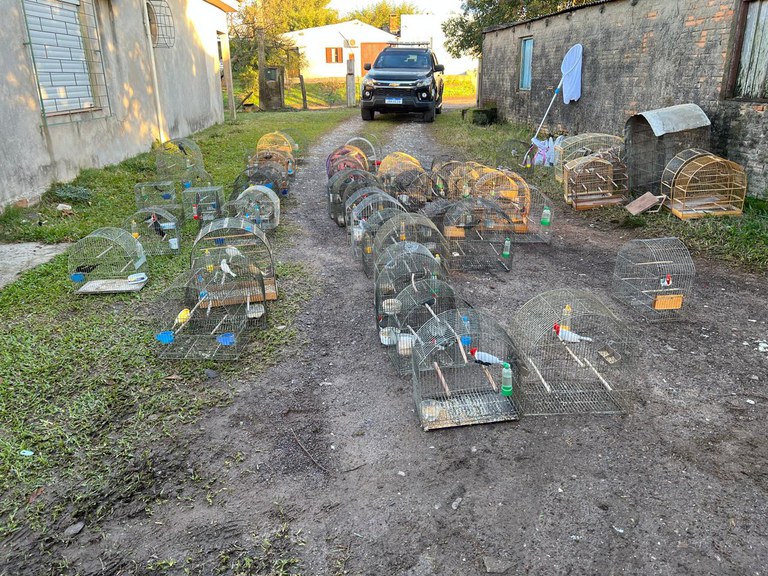 WhatsApp Image 2025-07-30 at 08.16.16.jpeg