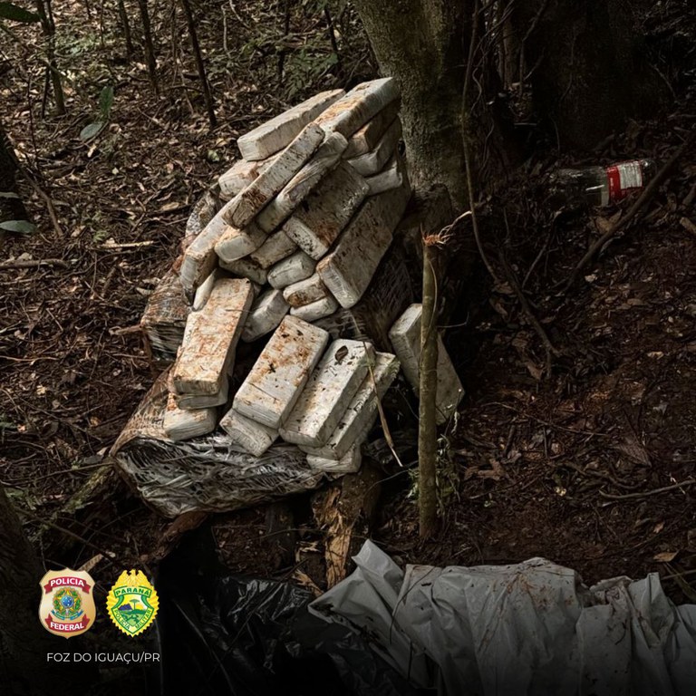 WhatsApp Image 2025-07-02 at 11.55.05.jpeg