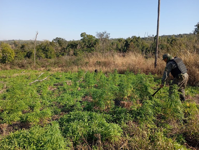 7c170a00-b589-4baf-a678-d055834cd035.jfif