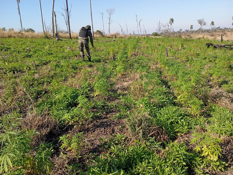 a918cf9e-8ce7-46c0-8971-2ba4fc455ef3.jfif