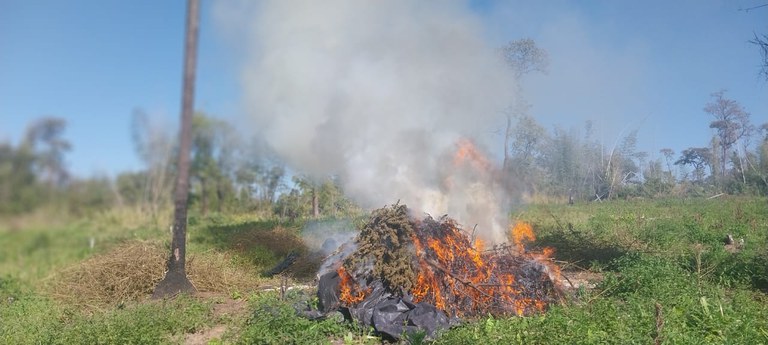 e3edfdd8-e8df-43d0-abb4-891ad0ba59d0.jfif