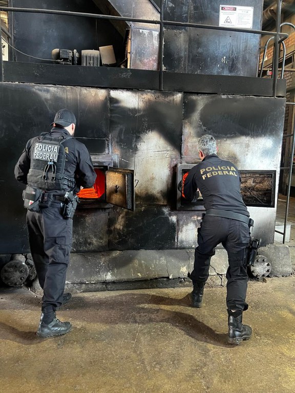 WhatsApp Image 2025-07-31 at 15.29.28.jpeg