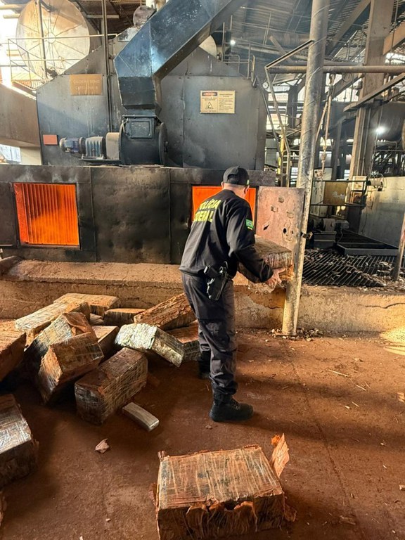 25e80908-832d-4e06-962c-280ec6c3bdc9.jfif