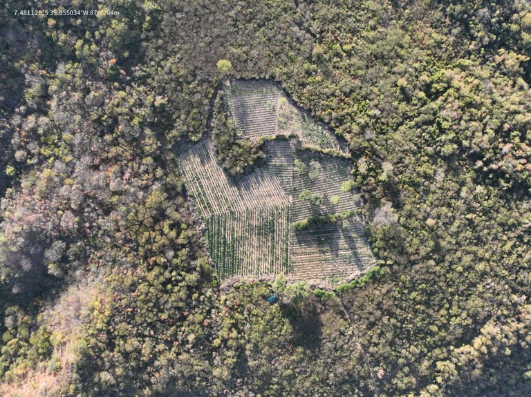 WhatsApp Image 2025-07-26 at 14.27.37.jpeg