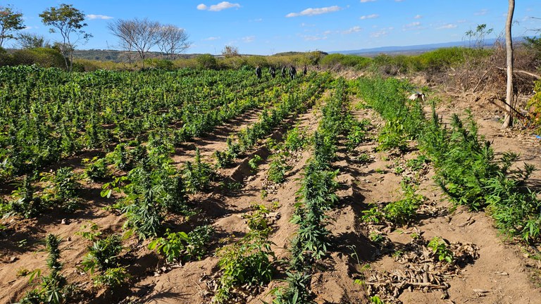 WhatsApp Image 2025-07-26 at 14.27.39 (1).jpeg