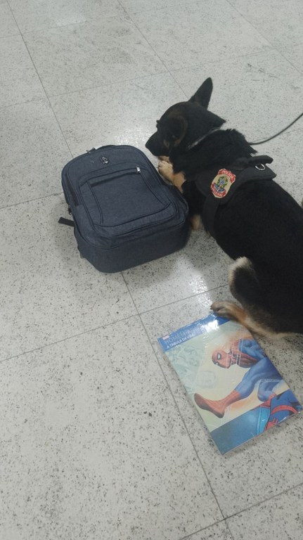 WhatsApp Image 2025-07-22 at 11.38.43.jpeg