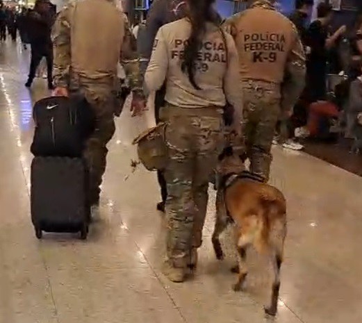 WhatsApp Image 2025-07-24 at 07.50.47.jpeg