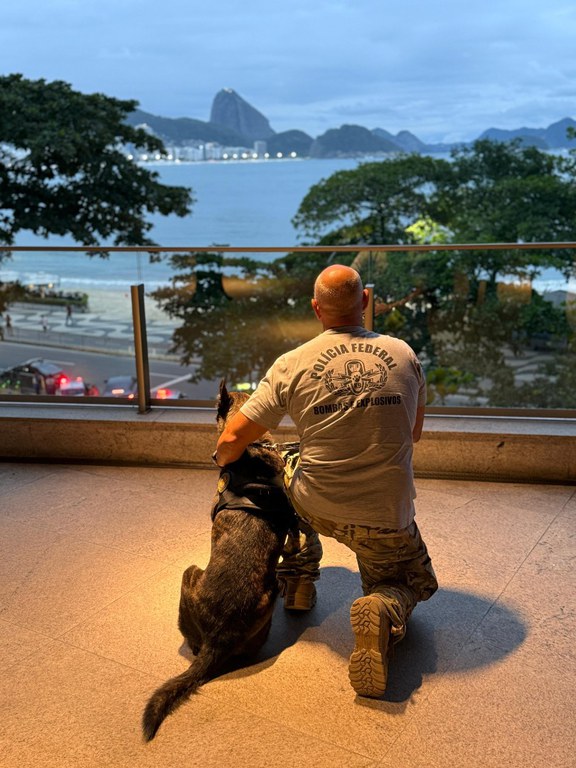 737e93f2-6ed9-4b0b-94c0-50973beb3ad5.jfif