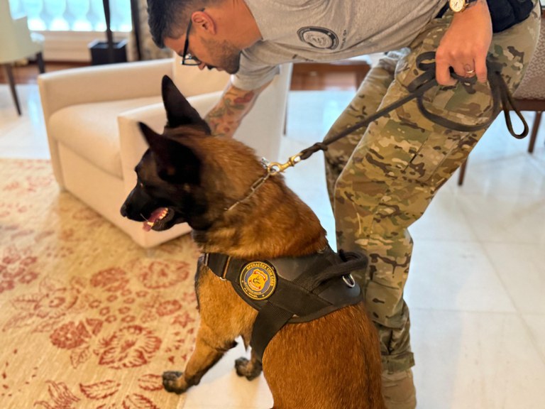 e1fb58f6-d274-4e07-a968-2b2232298bb3.jfif