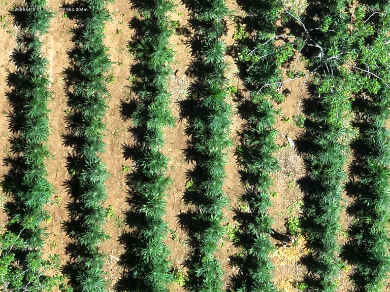 77fa9639-0d8d-4b73-88a9-fb55e44f8e14.jfif