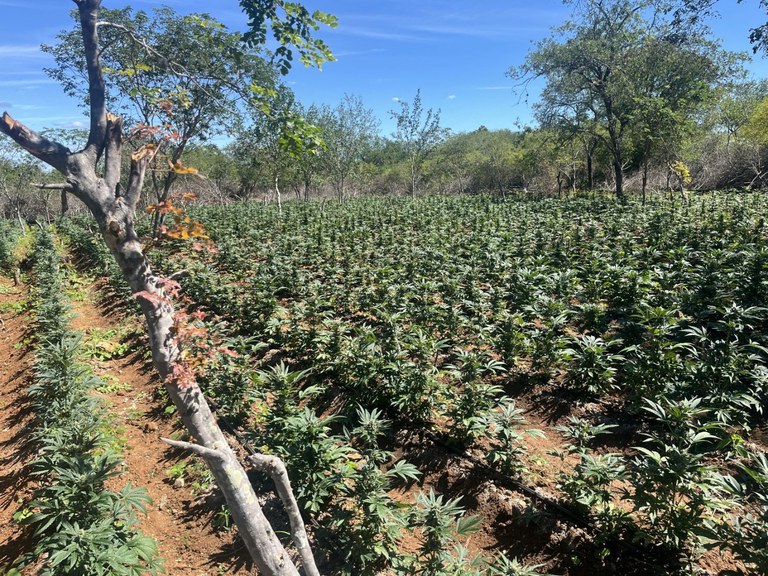 cb4ac349-ba57-4000-87de-2b87665f2da2.jfif