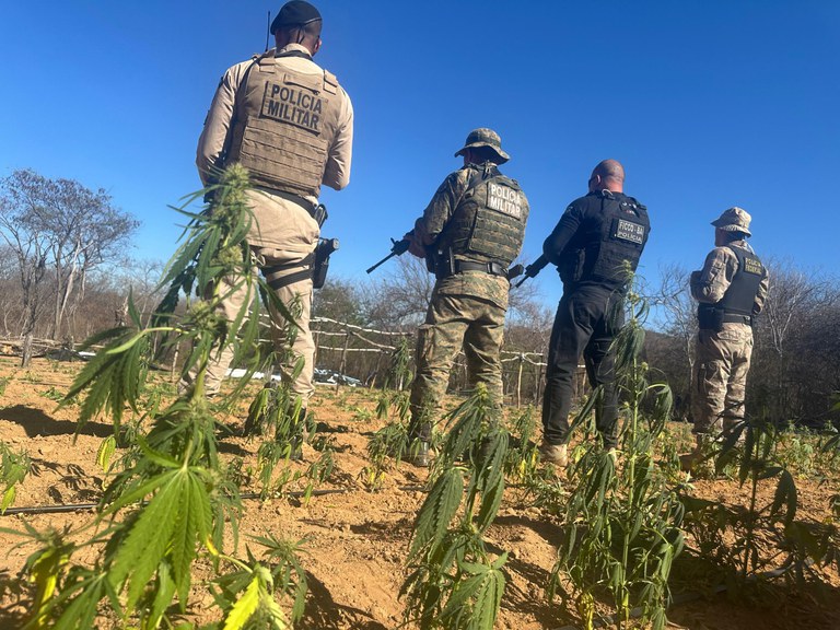 WhatsApp Image 2025-08-20 at 13.40.05.jpeg