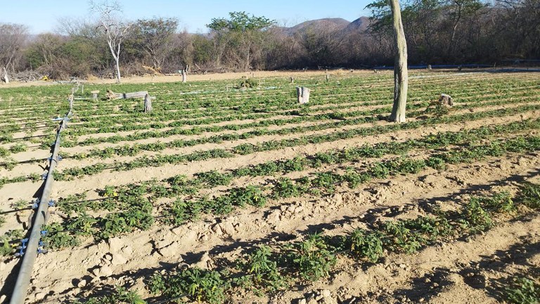 WhatsApp Image 2025-08-20 at 13.40.06.jpeg