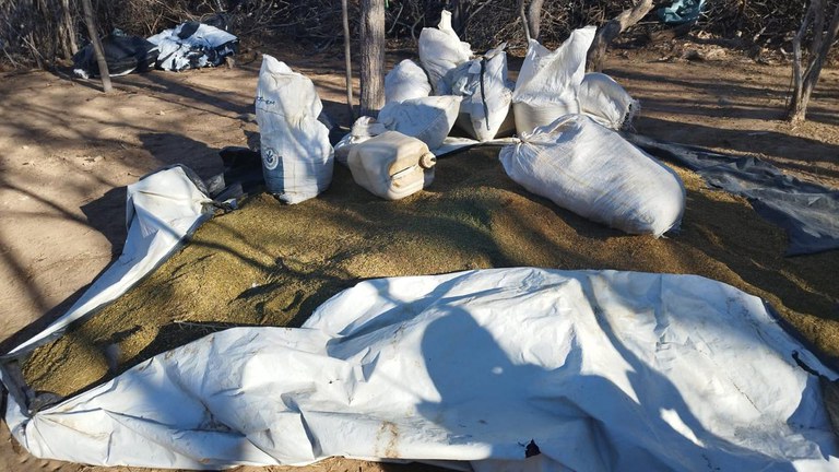 WhatsApp Image 2025-08-20 at 13.40.07 (1).jpeg