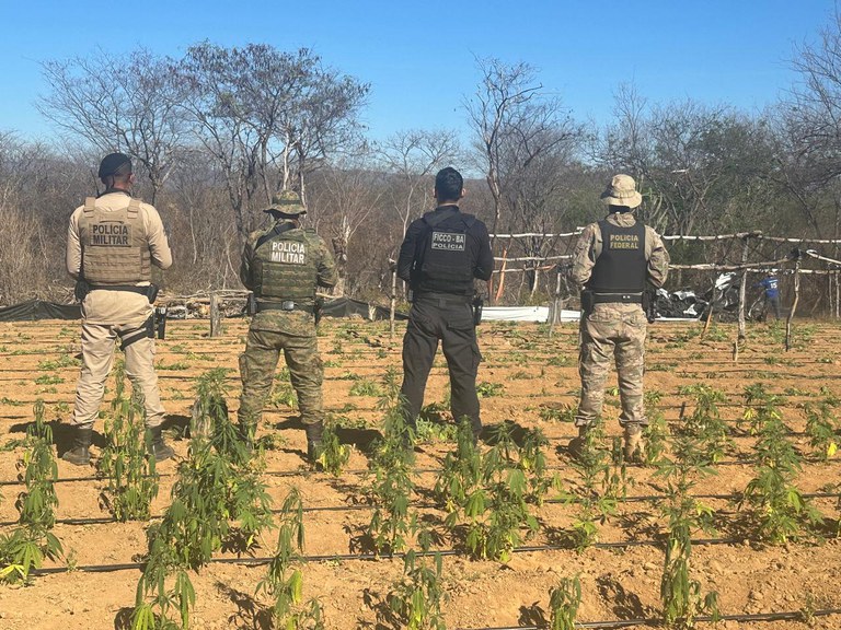 WhatsApp Image 2025-08-20 at 13.40.07.jpeg