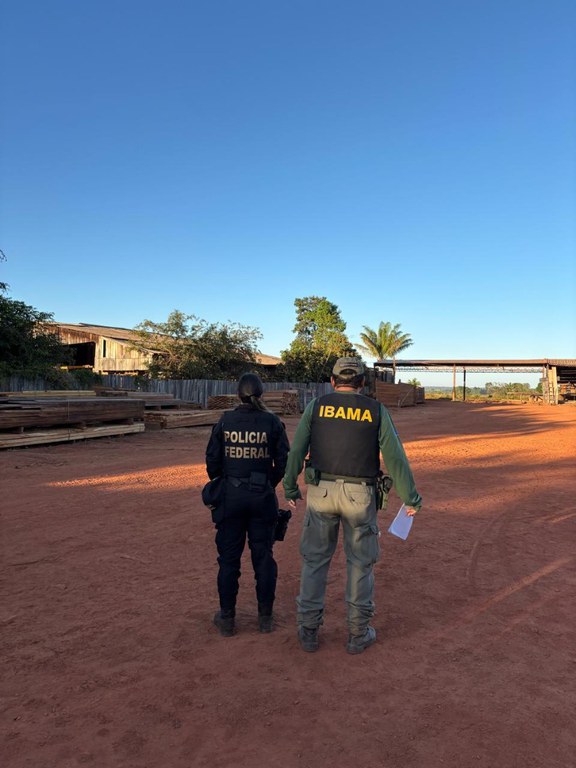 WhatsApp Image 2025-08-13 at 08.35.29.jpeg