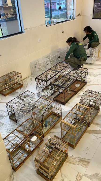 Operação Fantasma.jpeg