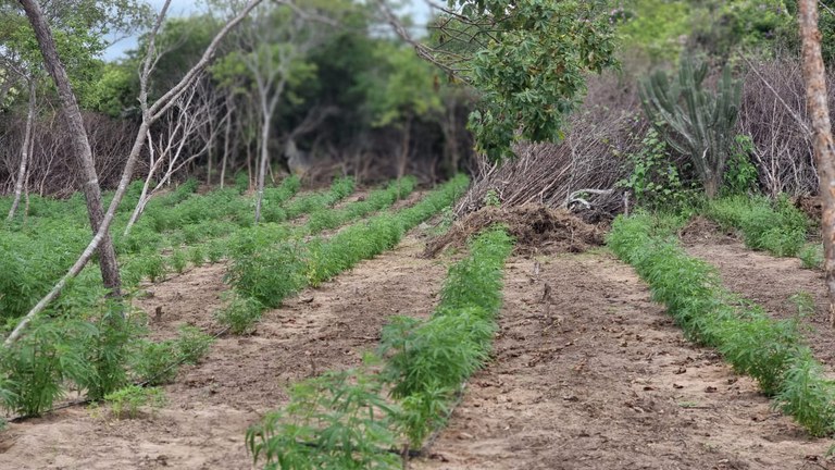 a6e871f0-6c38-4214-8205-dbb657062879.jfif