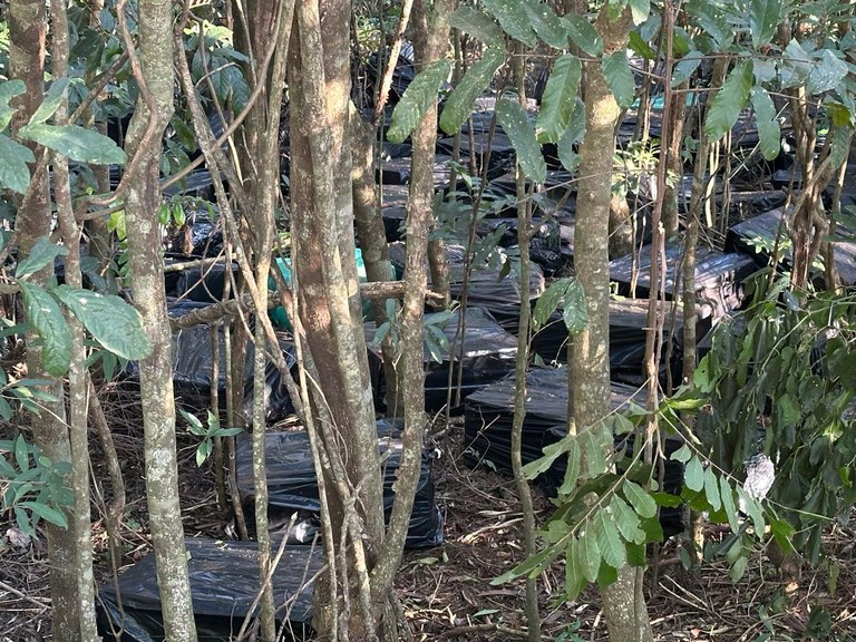 WhatsApp Image 2025-08-16 at 11.57.44 (1).jpeg