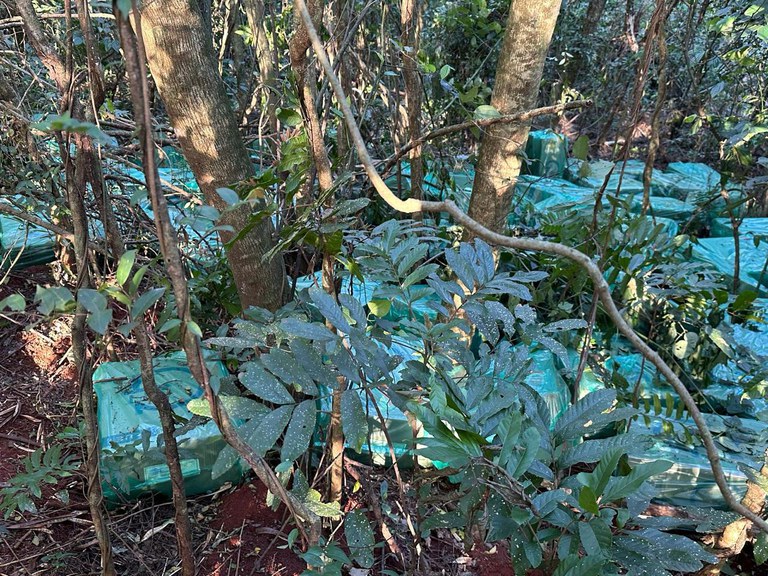 WhatsApp Image 2025-08-16 at 11.57.44 (2).jpeg