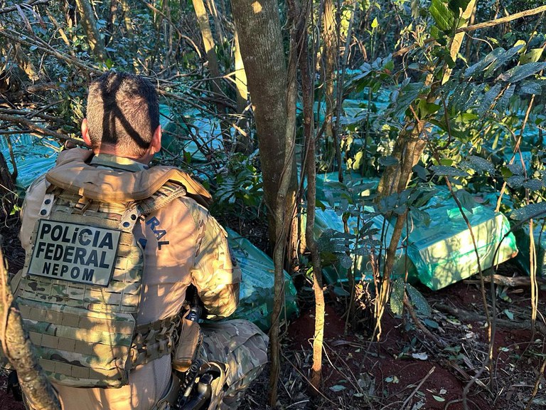 WhatsApp Image 2025-08-16 at 11.57.44.jpeg