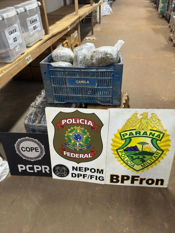 WhatsApp Image 2025-08-06 at 09.38.42.jpeg