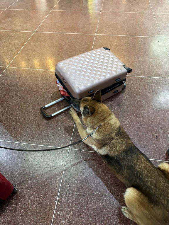 WhatsApp Image 2025-08-13 at 19.36.42.jpeg