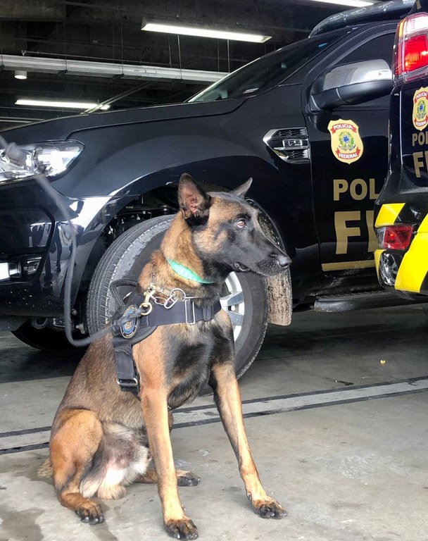 WhatsApp Image 2025-08-26 at 14.44.14.jpeg