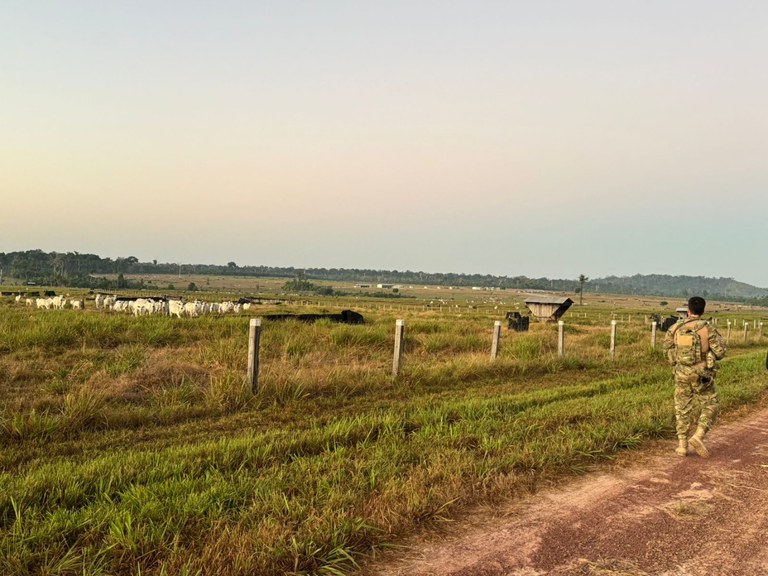 WhatsApp Image 2025-08-21 at 08.53.30.jpeg