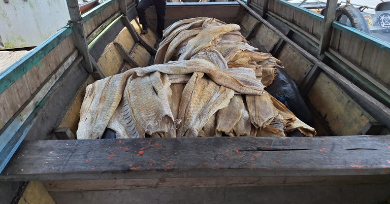 WhatsApp Image 2025-09-18 at 15.19.27.jpeg