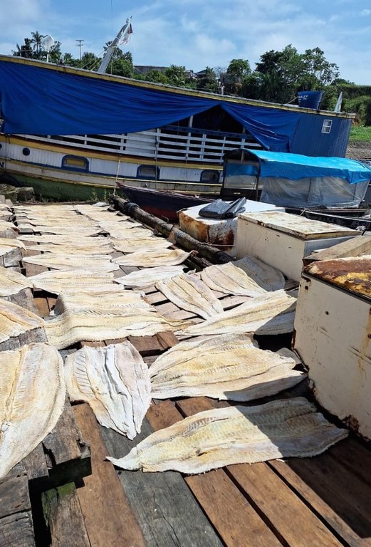 WhatsApp Image 2025-09-18 at 15.19.37.jpeg