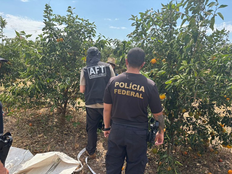 WhatsApp Image 2025-09-05 at 10.59.07.jpeg