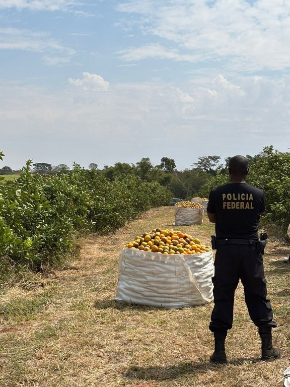 WhatsApp Image 2025-09-05 at 10.59.08.jpeg