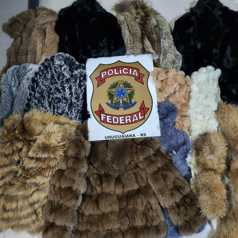 WhatsApp Image 2025-09-05 at 11.35.14.jpeg