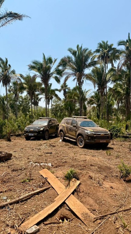 WhatsApp Image 2025-09-12 at 09.43.29.jpeg