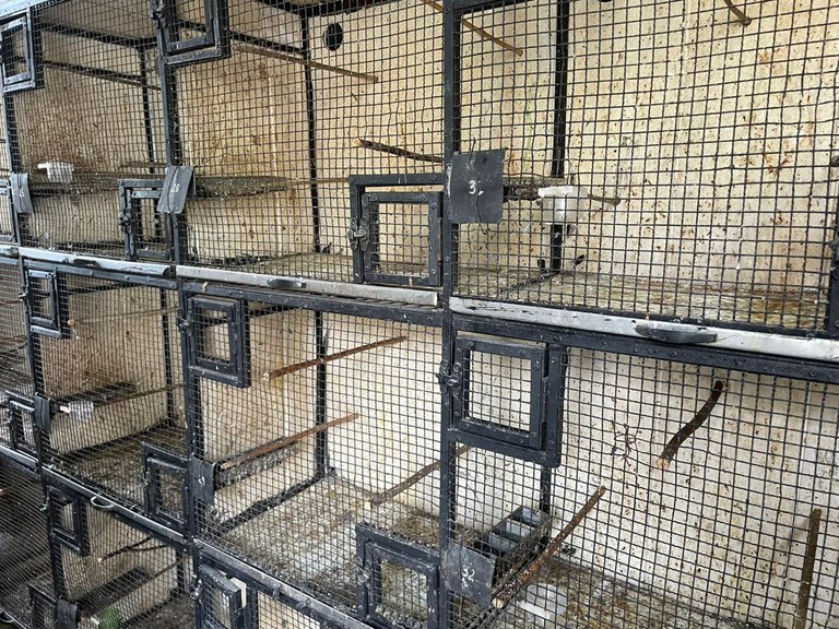 WhatsApp Image 2025-09-17 at 08.18.48 (1).jpeg