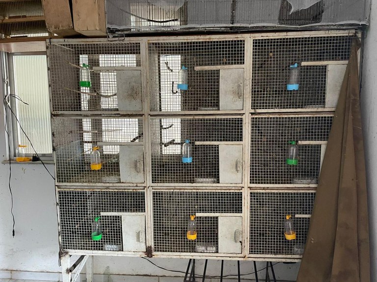 WhatsApp Image 2025-09-17 at 08.18.48.jpeg