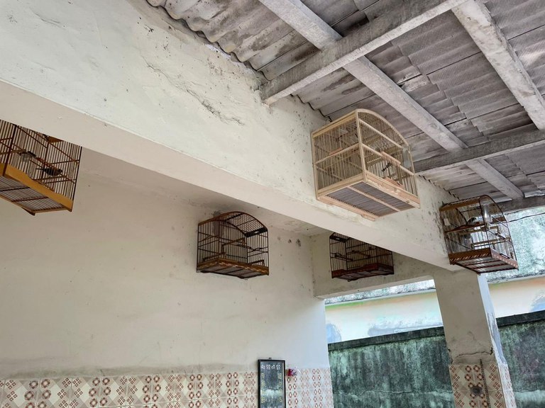 WhatsApp Image 2025-09-17 at 08.18.49 (1).jpeg