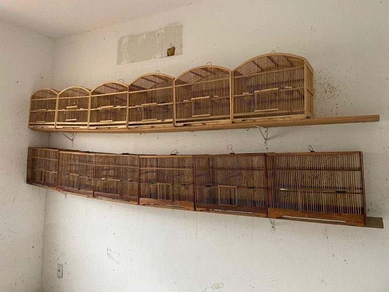 WhatsApp Image 2025-09-17 at 08.18.49.jpeg